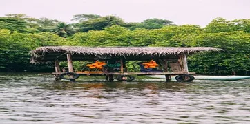 Bentota City  Tour From Colombo